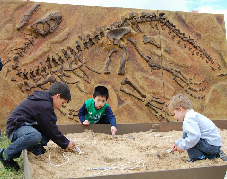 Zoo de Córdoba Paleontólogos por un día