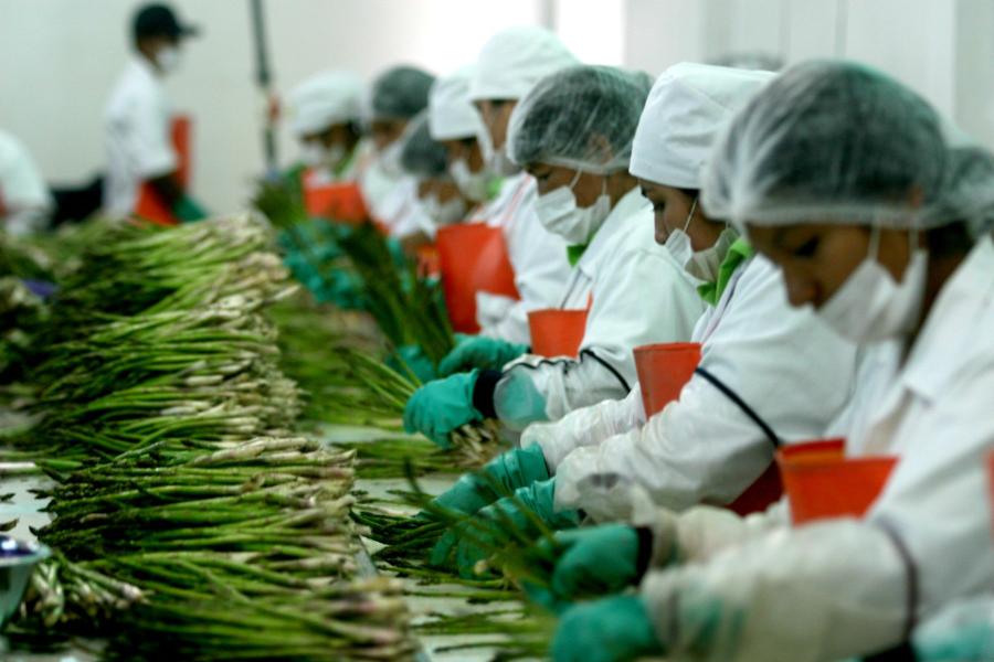 agroindustria 1