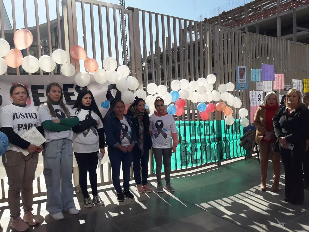 Marcha aniv m uertes Neonatal Facebook V.Alegre
