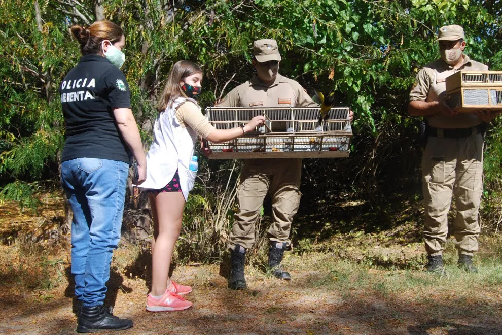Suelta de aves en Nono (Policía Ambiental)