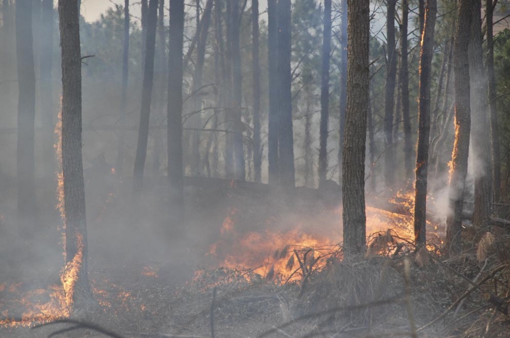 Incendios by provincia