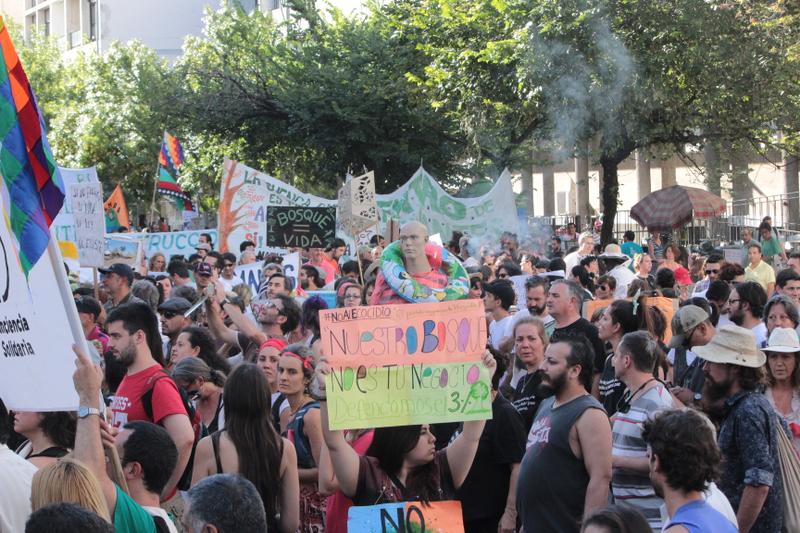 marcha ley de bosques 5