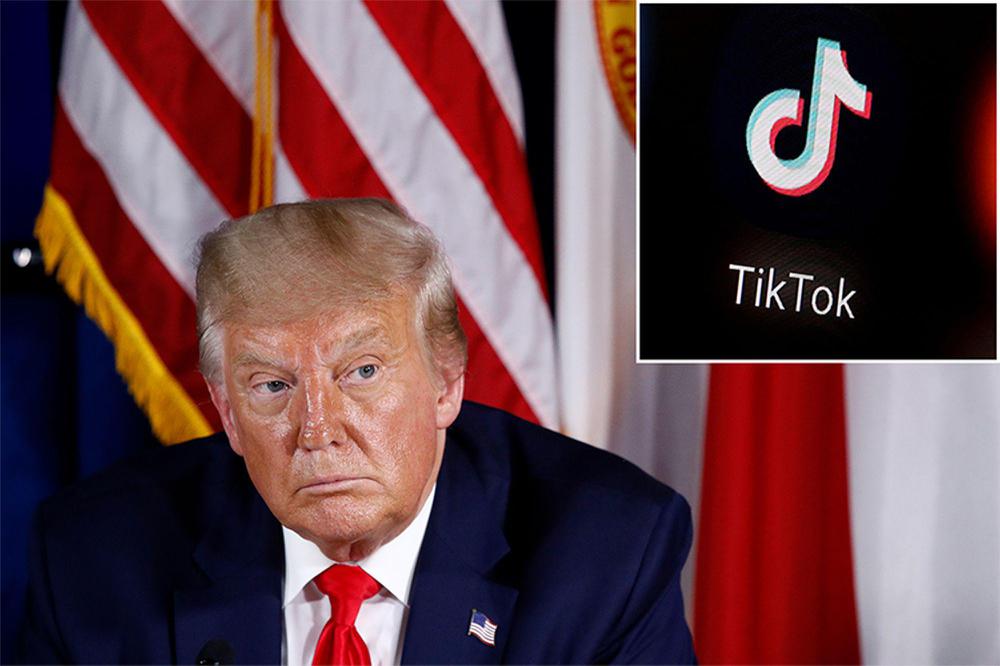 tik tok trump