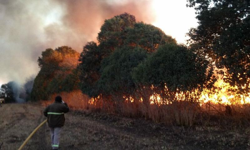 incendio colonia caroya