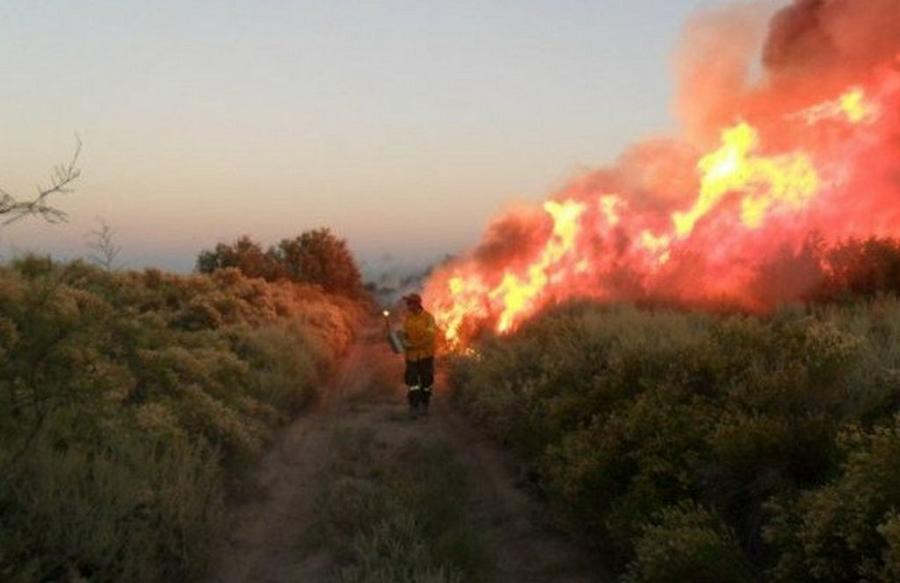 mendoza incendios @diarioresgistrado
