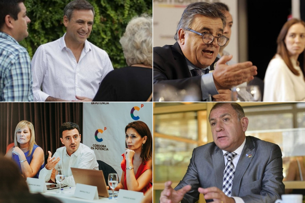 Interna Cambiemos 2019