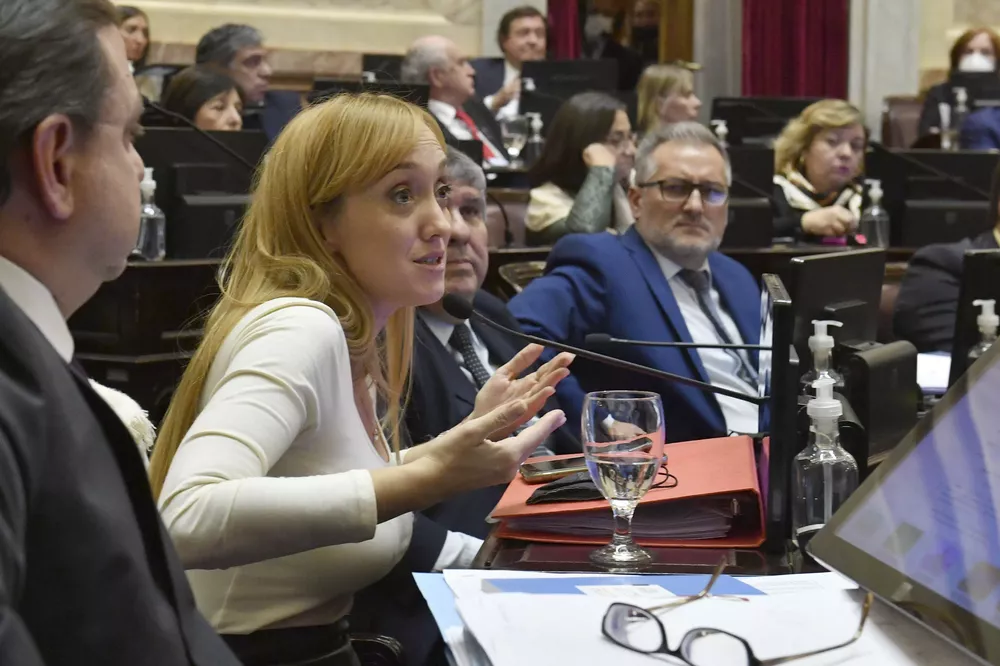 senado 1
