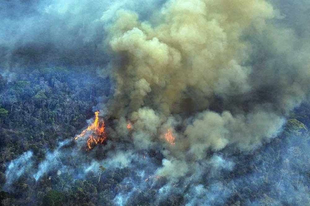 Incendios Amazonas - Telam