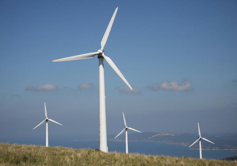 molinos de viento