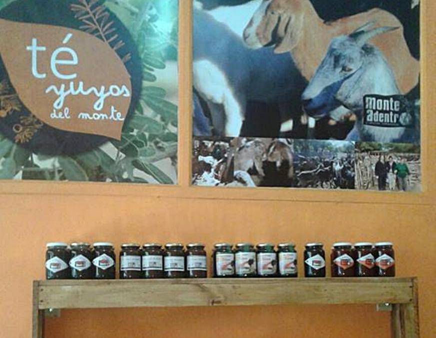 monte campesino local