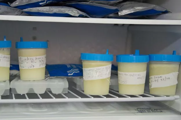 leche humana