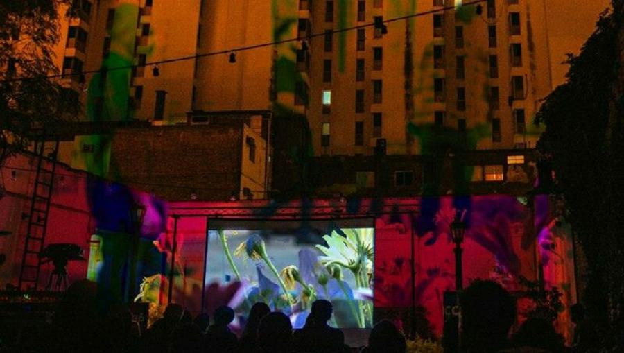 cine a la fresca