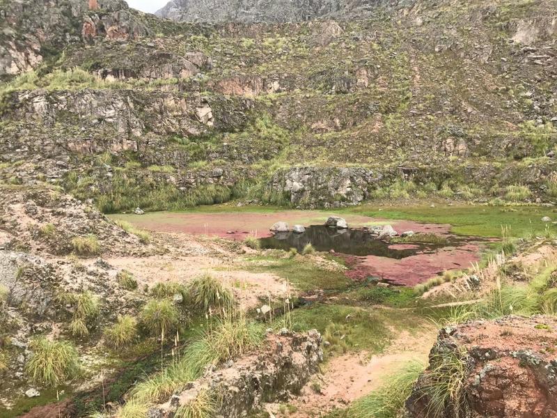 sitio los gigantes
