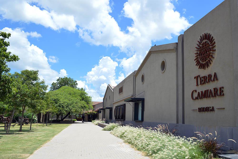 Caroya Bodegas Terra Camiare00002