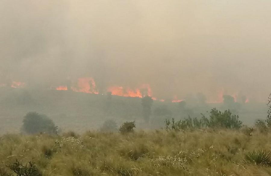 fuego las palmas by @fuegocba