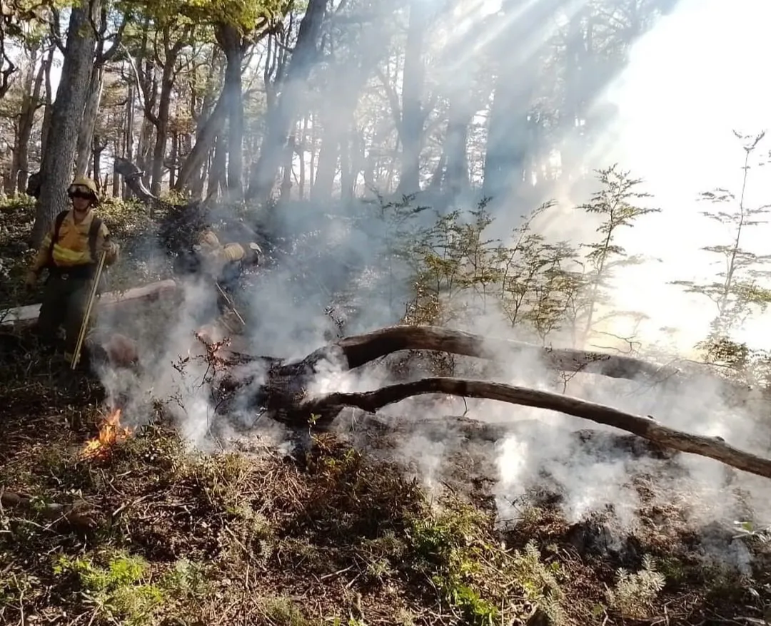 Parque Nacional Los Alerces . Incendio controlado