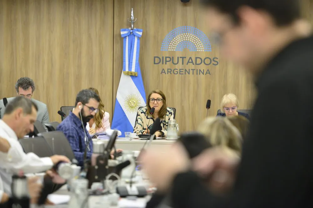 Comis Fentanilo by DiputadosAR