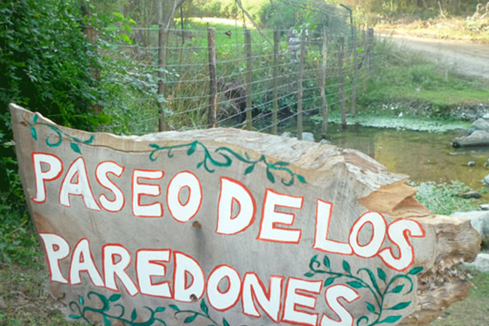 los-paredones