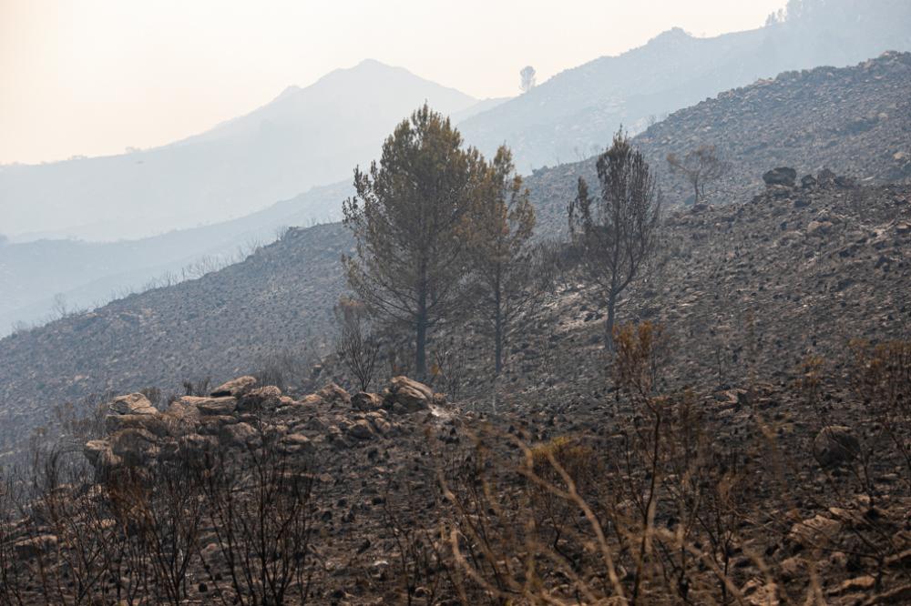 incendios by prensa gobierno