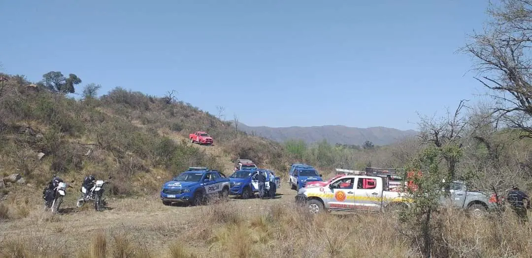 Busqueda punilla Centediario