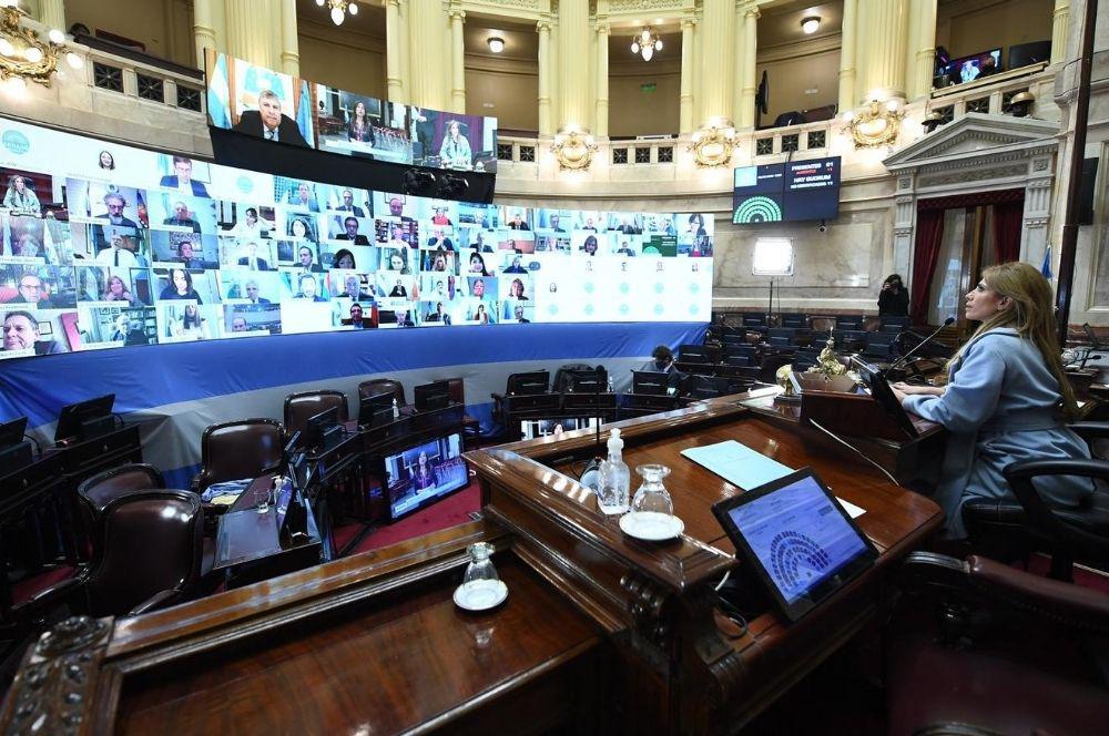 Sesion remota Senado de la Nación 23 07