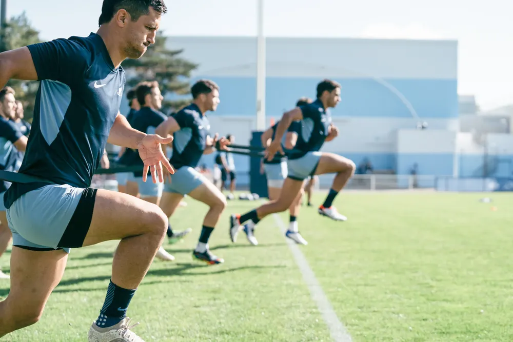 Los pumas by na