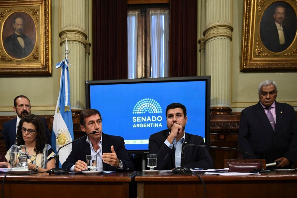 Naidenoff y Cleri Bicameral Permanente de Trámite Legislativo