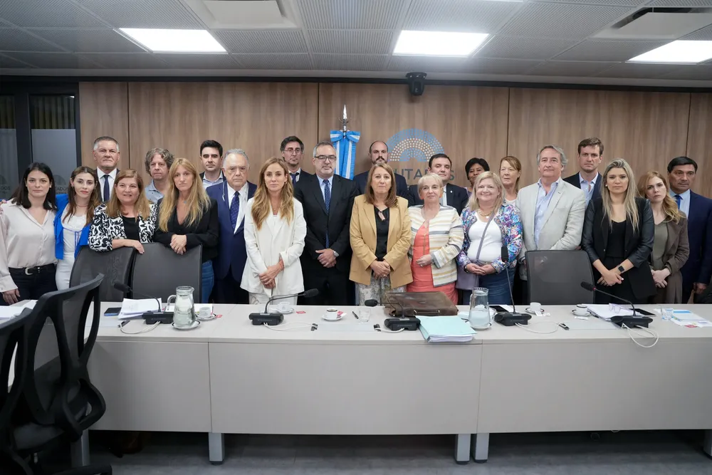 Ernesto Kreplak en la Comisión Fentanilo (X de Diputados de Unión por la Patria)