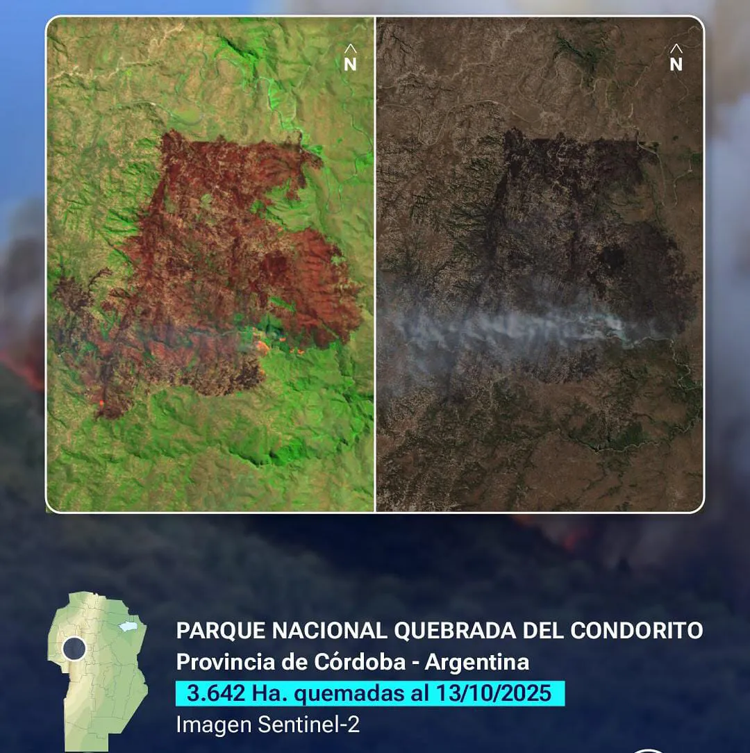 Incendios conae