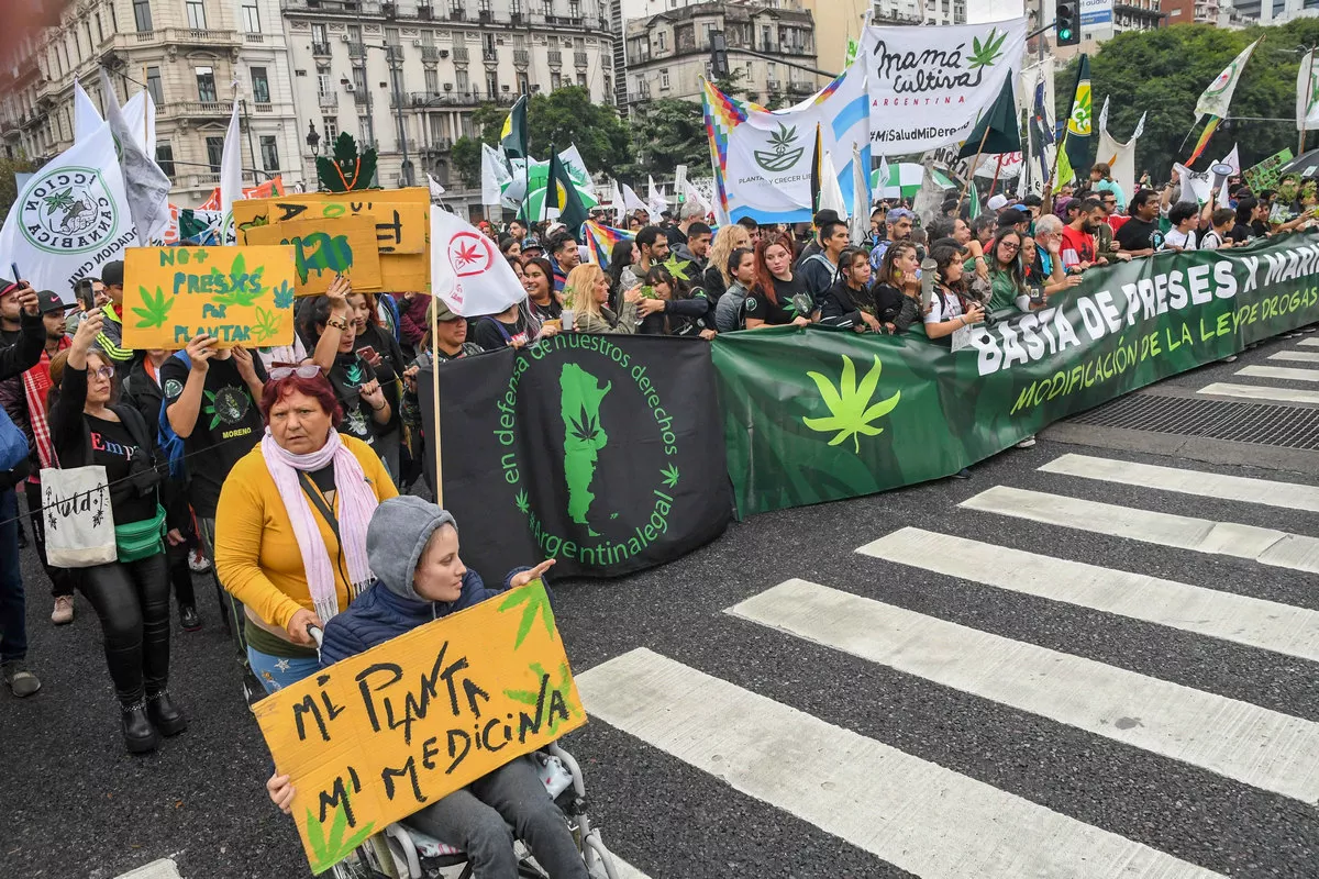 Argentina marcha por la marihuana : Indybay