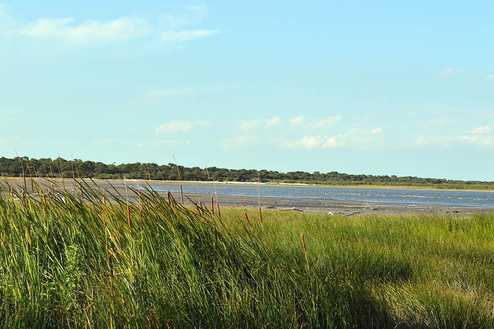 Laguna del Plata00002