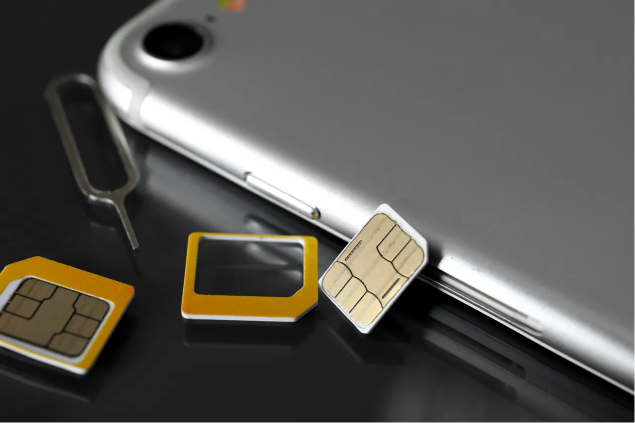 SIM swapping (Foto Panda Security)