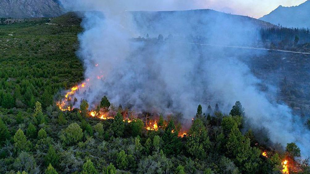 incendio telam