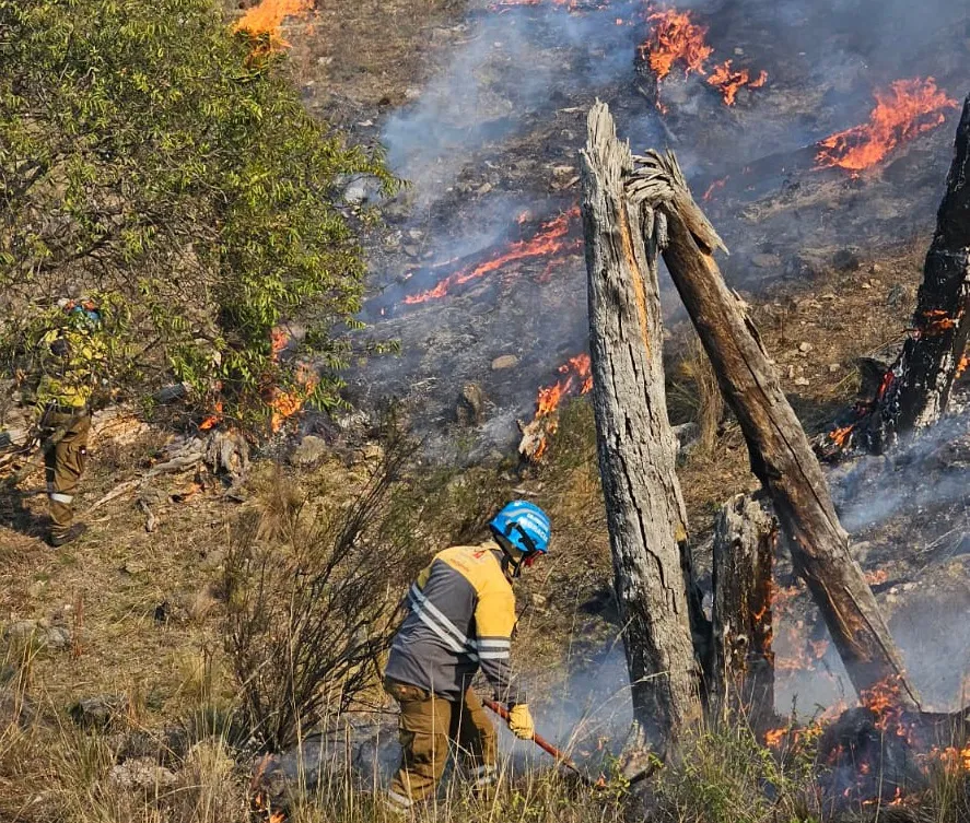 incendio by gobierno