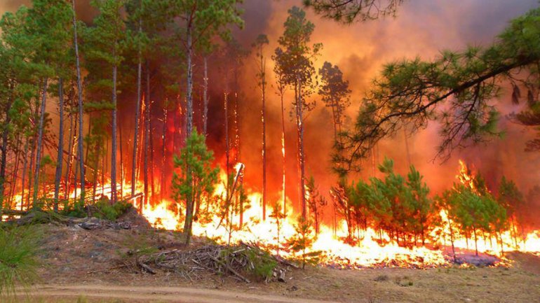 incendio sierras
