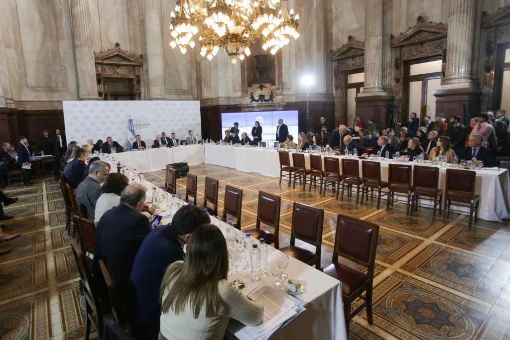 Senado debate Ley Bases NA