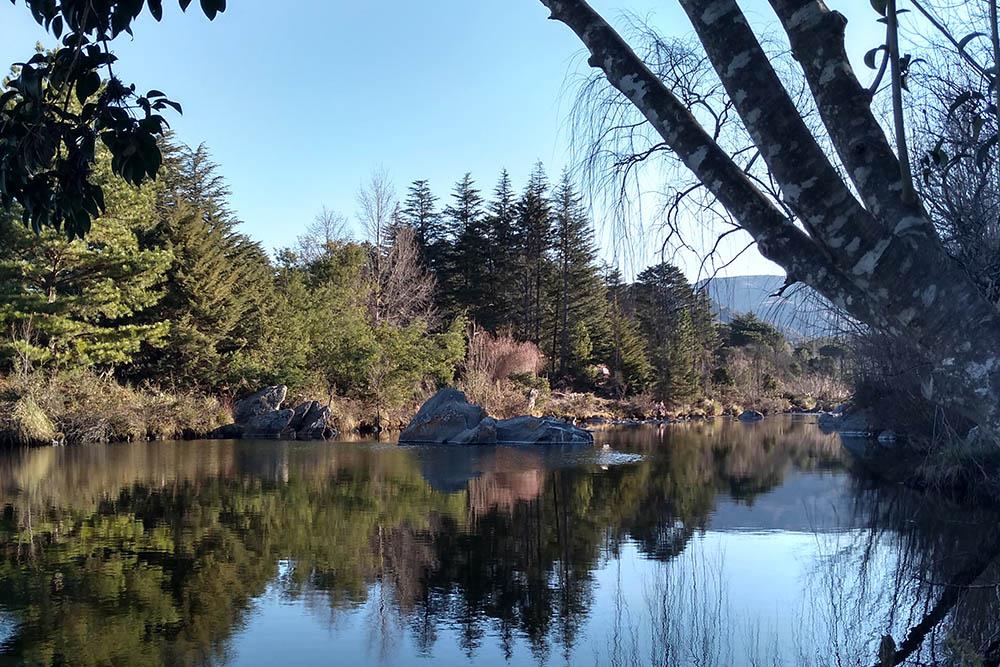 Rio San Jose, un espejo de agua