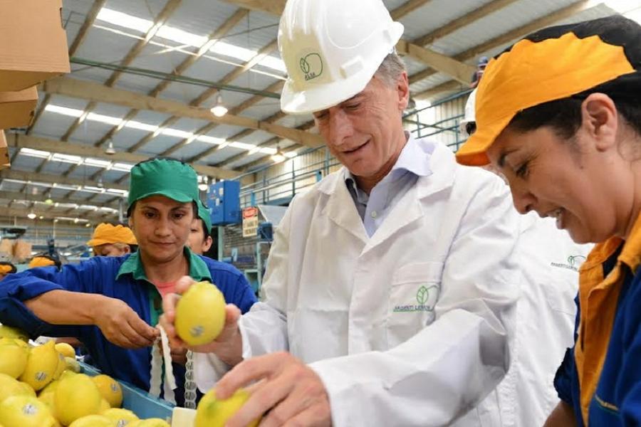 Macri limones tucuman by Presidencia