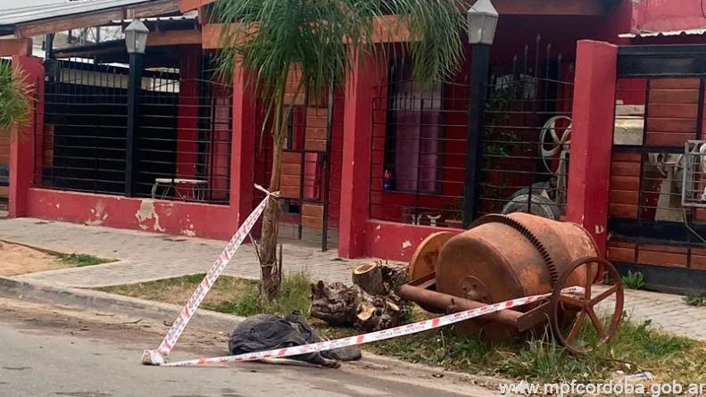 Adolescente fue atacada por dogos (mpf córdoba)