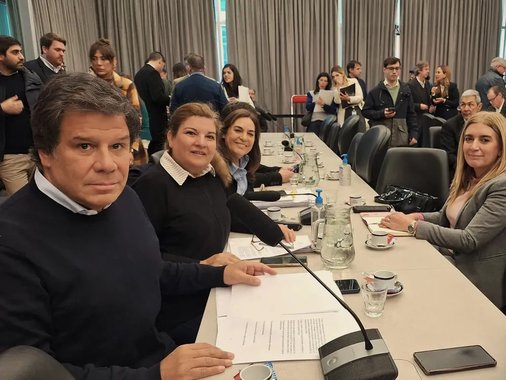 Debate en comisión de Diputados del proyecto para la prevención temprana del Alzheimer (X de Democracia para Siempre)