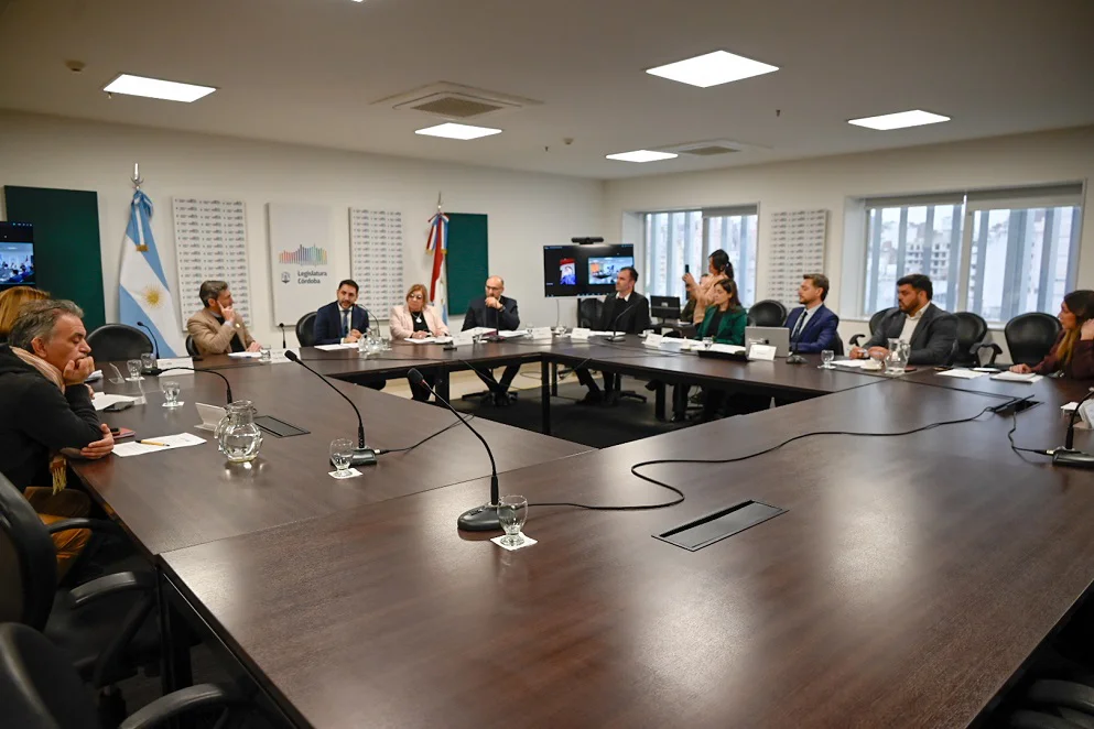 Análisis de proyecto de simplificación de trámites para asociaciones civiles y fundaciones de pequeña escala (Legislatura de Córdoba)