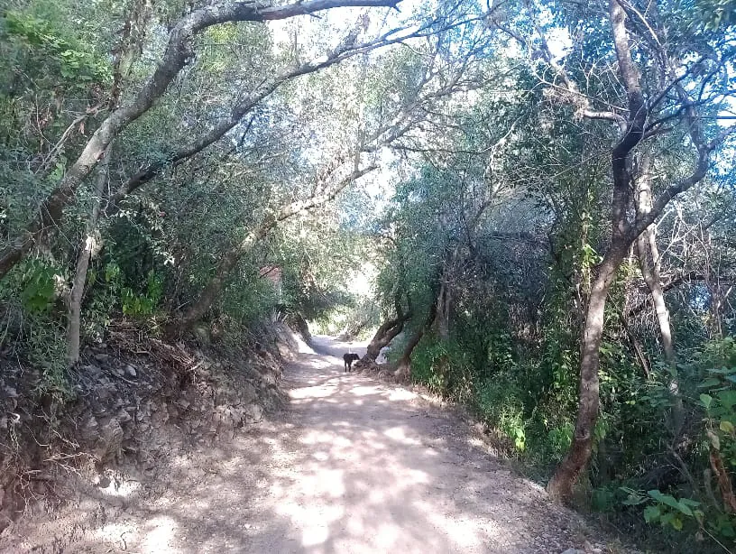 la cumbre 1 web