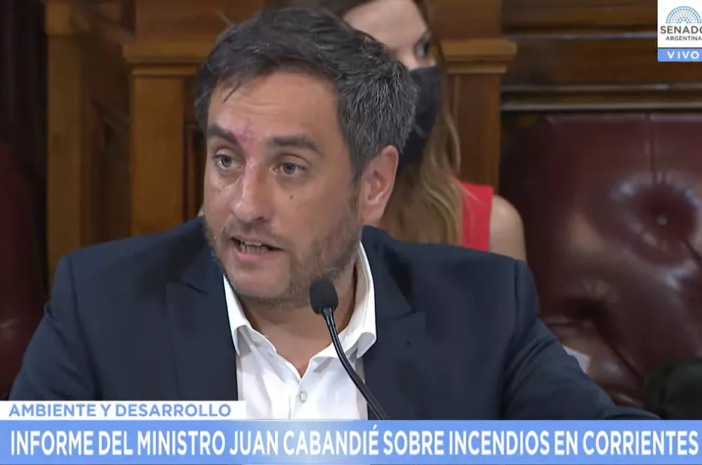 Cabandié en el Senado Captura de pantalla