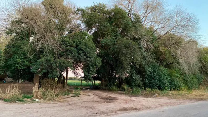 camino-a-60-cuadras-cordoba-robo-inseguridad (el doce)