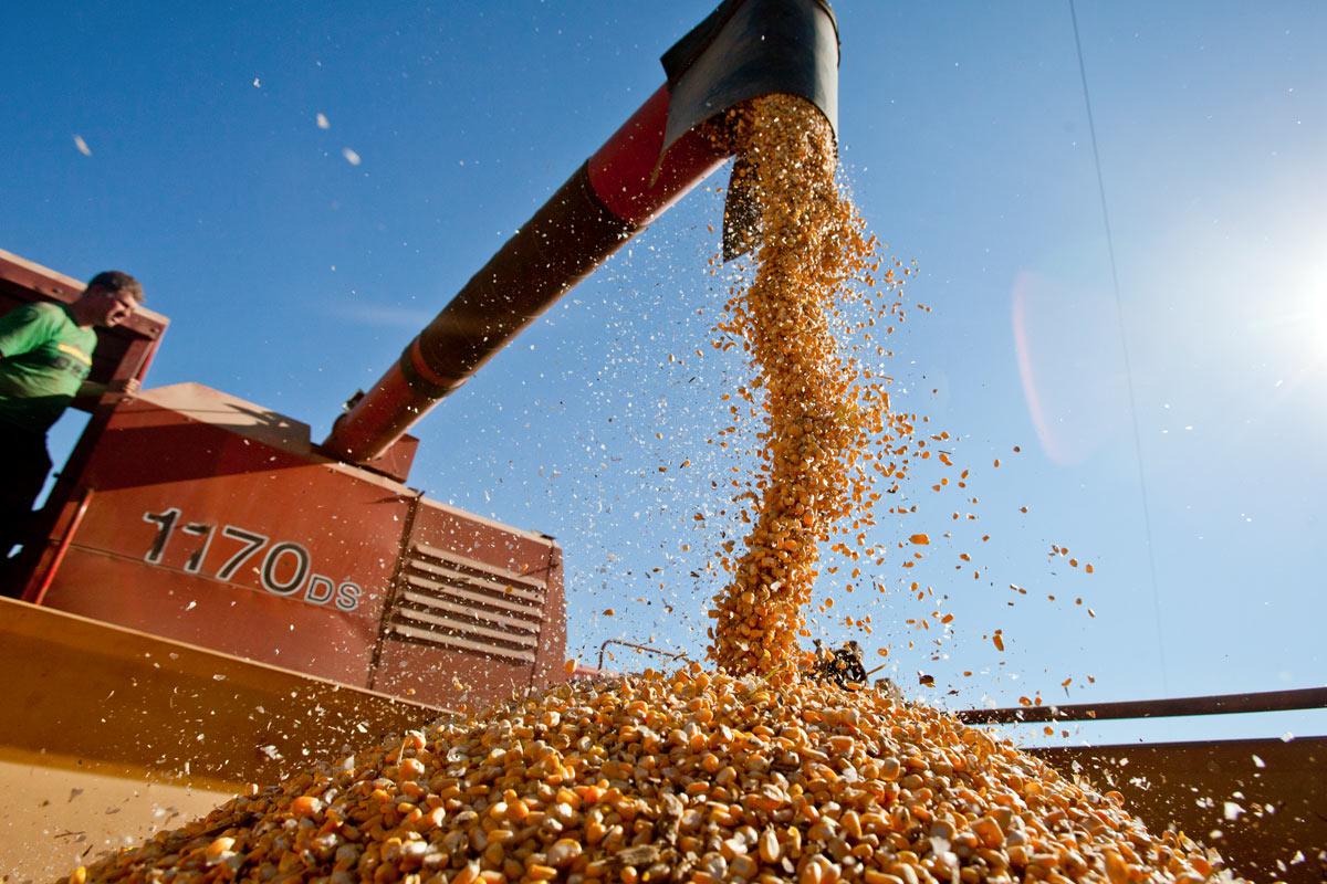 Vietnam se acerca a EE.UU. y pone en riesgo el liderazgo argentino en exportaciones agrícolas
