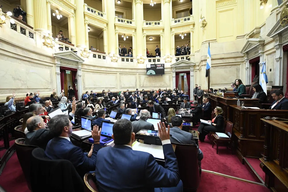 Senado de la Nación (NA) 25