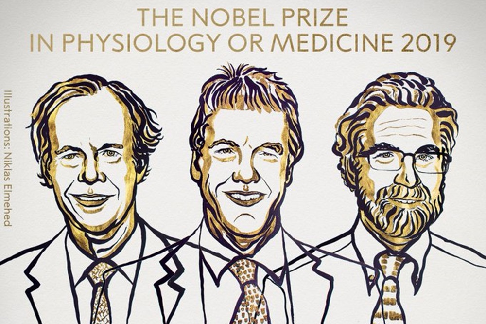Nobel de Medicina para quienes estudiaron la "respiración" de las células