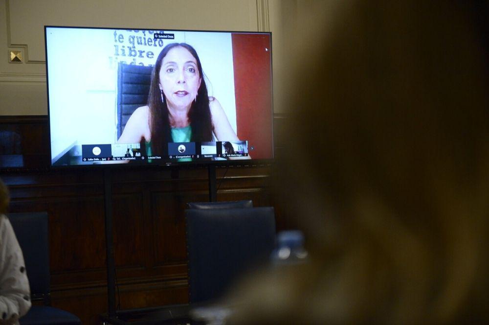 Soledad Deza expocisión Cámara de Diputados