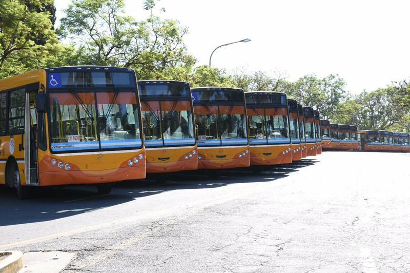 colectivos