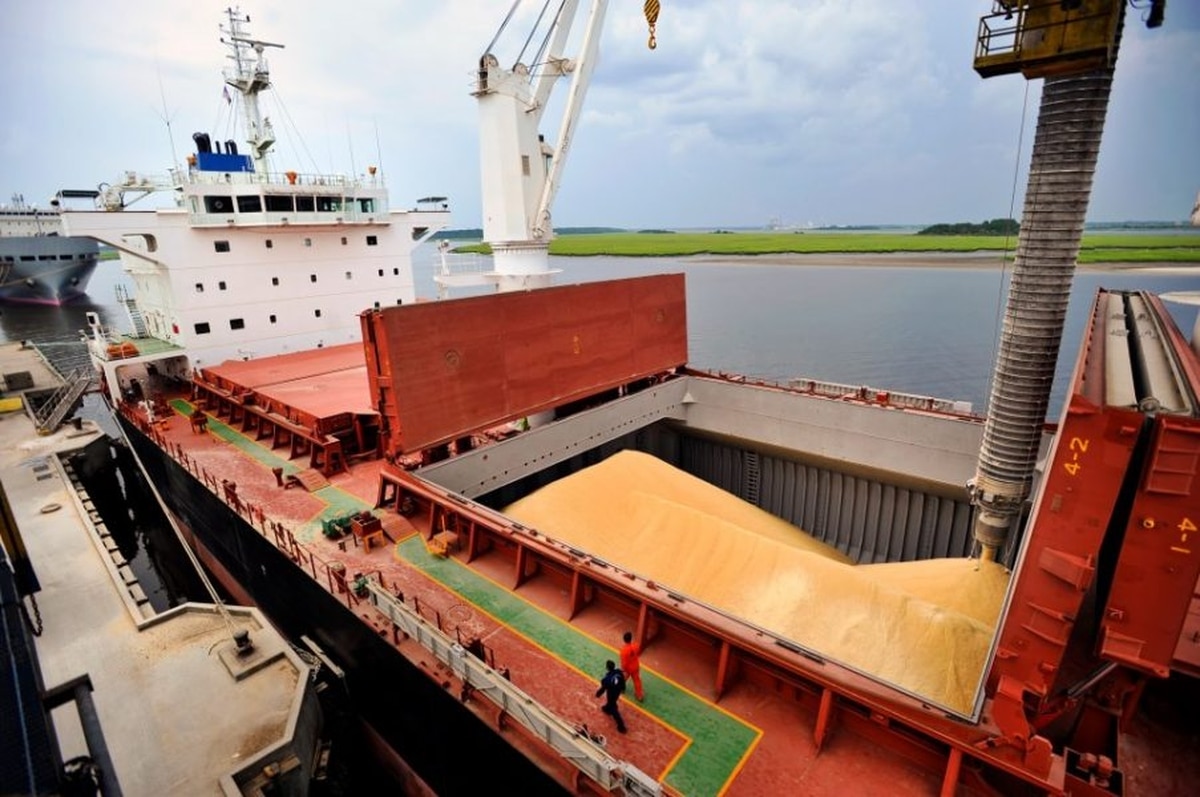 soja exportacion